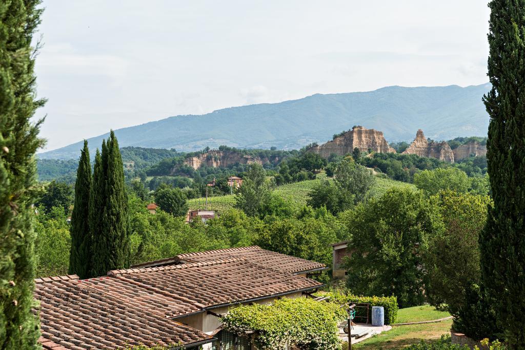 Villa Il Cedro Reggello Exterior photo